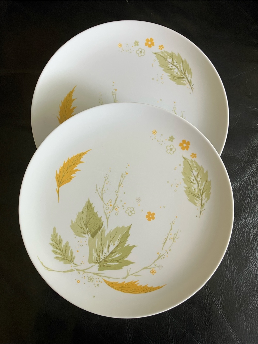 Texas Ware by PMC Melamine Dinner Plates 10” Yellow Green Leaves Floral AS-IS